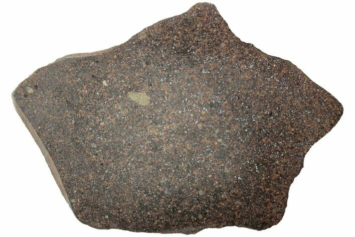 Polished Chondrite Meteorite Slice ( g) - Morocco #238048